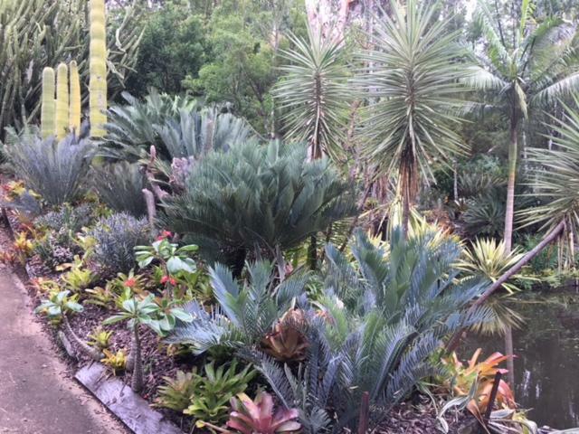Ancient Gardens Guesthouse & Botanical Gardens Eudlo Exterior foto