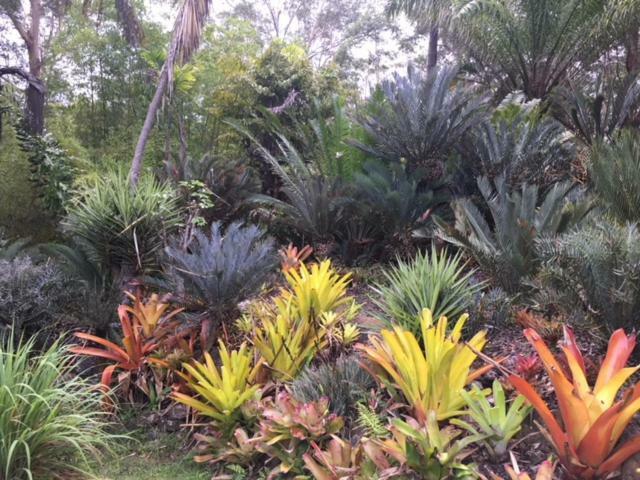 Ancient Gardens Guesthouse & Botanical Gardens Eudlo Exterior foto
